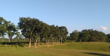 শমসেরনগর গলফ গ্রাউন্ডে