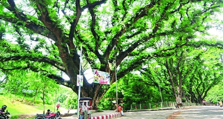 লাইসেন্স গ্রহণে ওয়াসার চিঠিতে সমালোচনার ঝড়