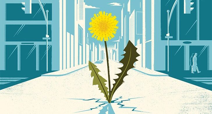 ইসলামে পরিবেশবান্ধব জীবনযাপনের শিক্ষা