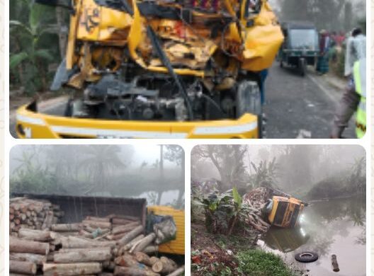 রাজৈরে দাঁড়িয়ে থাকা ট্রাকে অন্য ট্রাকের ধাক্কা: চালকের ছেলে নিহত, আহত ২