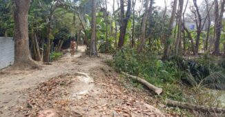 মাদারীপুরে জেলা পরিষদের সাবেক সদস্যের বসতবাড়ির গাছপালা কেটে জোড়পূর্বক রাস্তা নির্মাণ, পুলিশের হস্তক্ষেপে কাজ বন্ধ