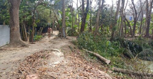 মাদারীপুরে জেলা পরিষদের সাবেক সদস্যের বসতবাড়ির গাছপালা কেটে জোড়পূর্বক রাস্তা নির্মাণ, পুলিশের হস্তক্ষেপে কাজ বন্ধ