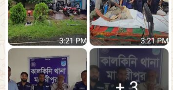 কালকিনিতে পারিবারিক কলহে স্ত্রীকে গলাকেটে হত্যা,স্বামী আটক
